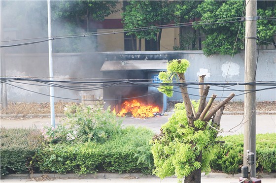 垃圾真的能采取焚烧的处理方式吗2