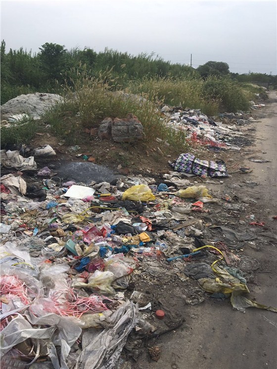 垃圾真的能采取焚烧的处理方式吗5