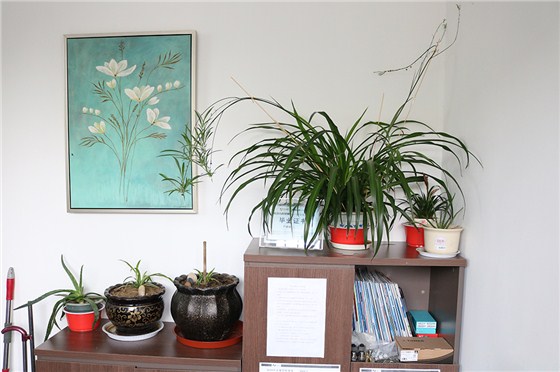 做生意是一门艺术，每个月如何定制目标是罪头疼，看看这群螺丝哥姐如何玩转目标定制！ (6)