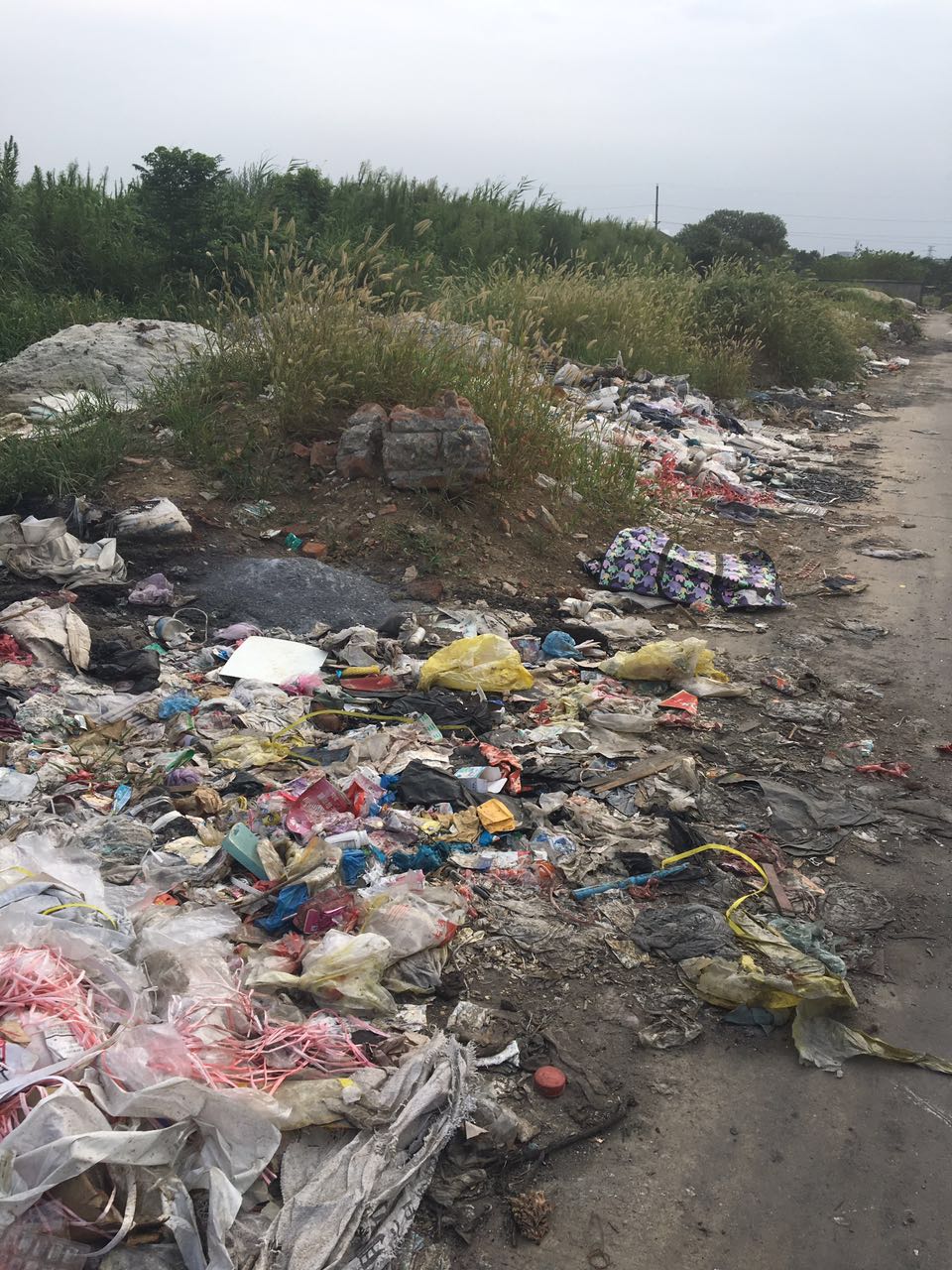 垃圾真的能采取焚烧的处理方式吗5