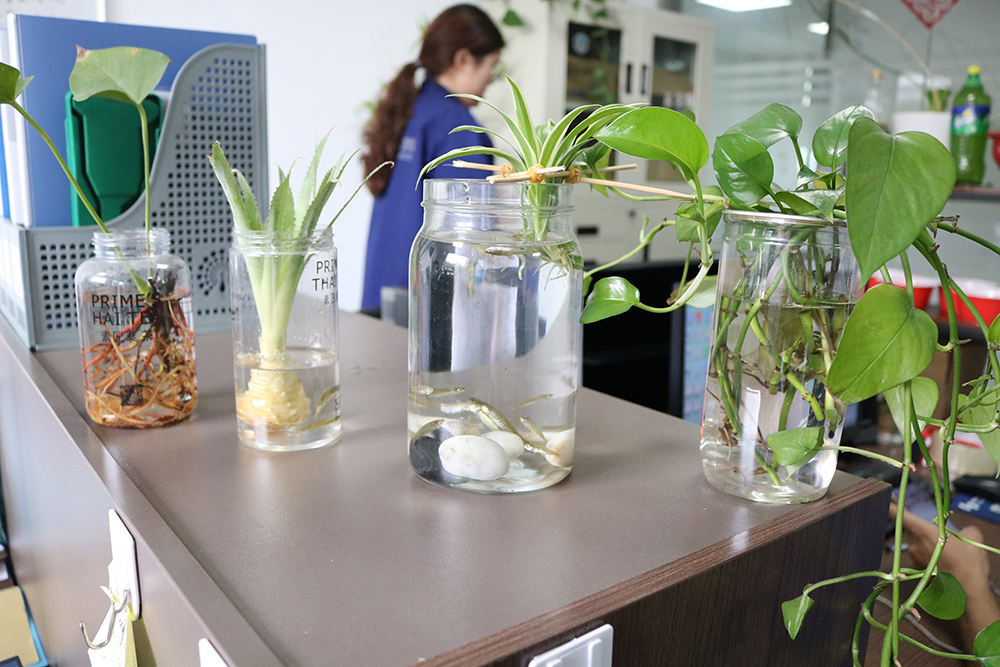 做生意是一门艺术，每个月如何定制目标是罪头疼，看看这群螺丝哥姐如何玩转目标定制！ (5)