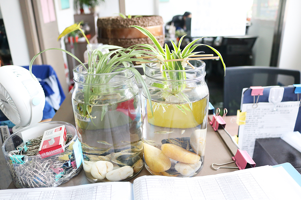 做生意是一门艺术，每个月如何定制目标是罪头疼，看看这群螺丝哥姐如何玩转目标定制！ (10)