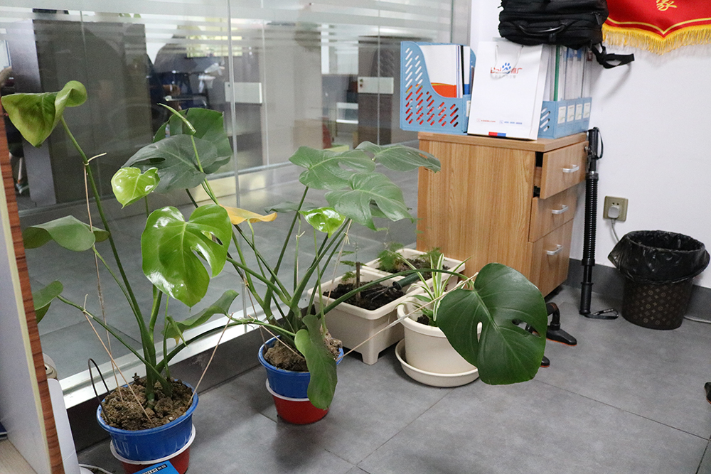 做生意是一门艺术，每个月如何定制目标是罪头疼，看看这群螺丝哥姐如何玩转目标定制！ (17)