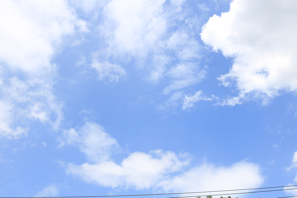 这家螺丝厂家风景好漂亮 (1)